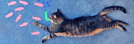 pico_cat_'s profile banner image
