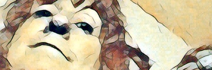 CadsThainy's profile banner image
