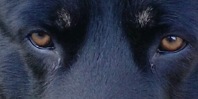 nanni626's profile banner image