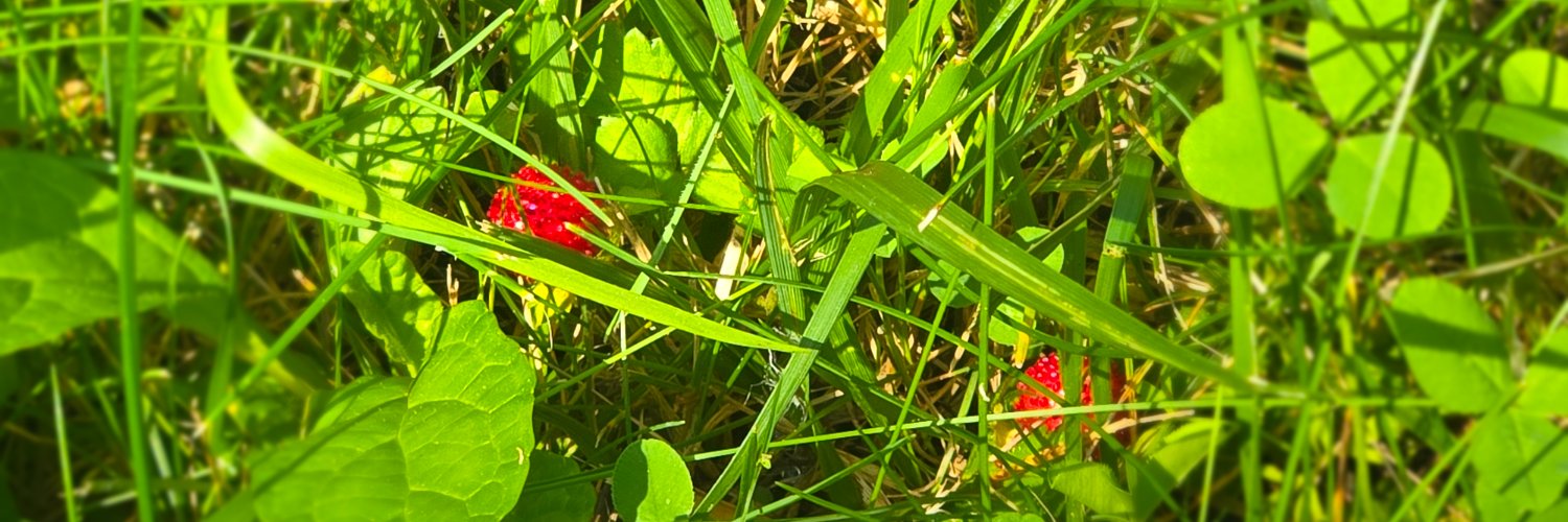 Bryce Kelly 😎🏖🛶☀️ banner