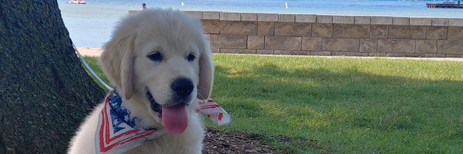 dawglover2's profile banner image