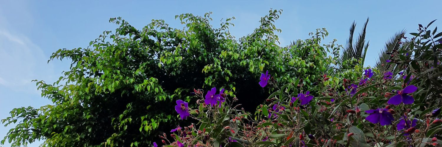 Annettrend's profile banner image