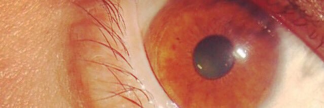 MAXmaly's profile banner image