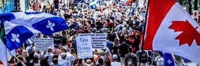FredDuchesneau's profile banner image