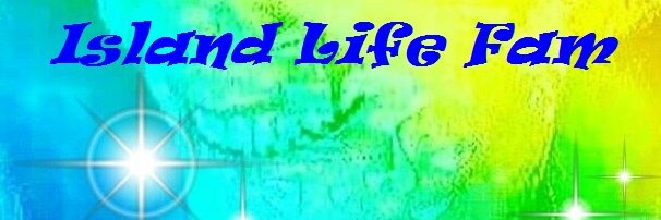 nfranco1111's profile banner image