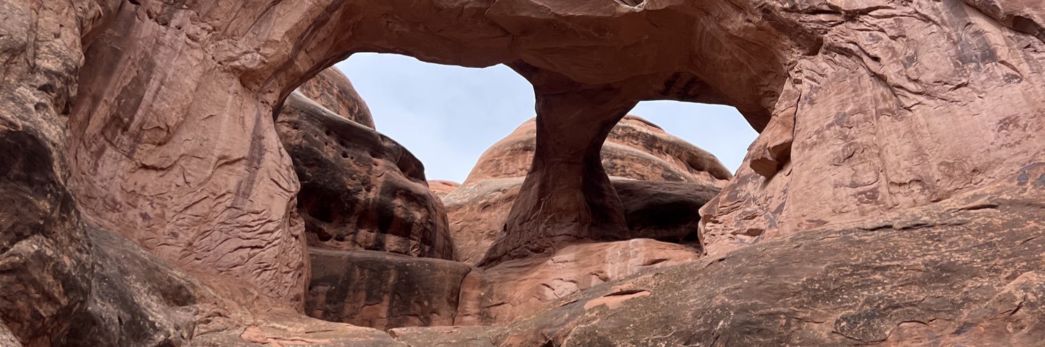 Dave Stevenson banner