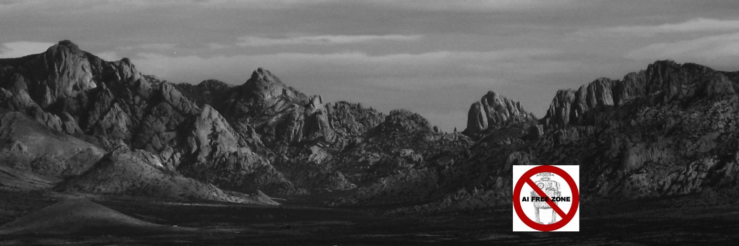 Sean / The Cinch Review🍸 banner