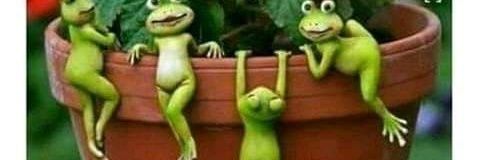 mumpybumpy's profile banner image