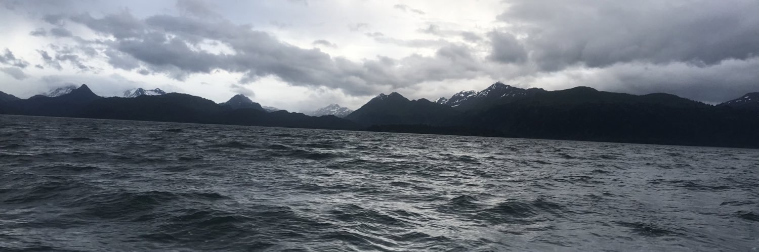 WWolf009's profile banner image