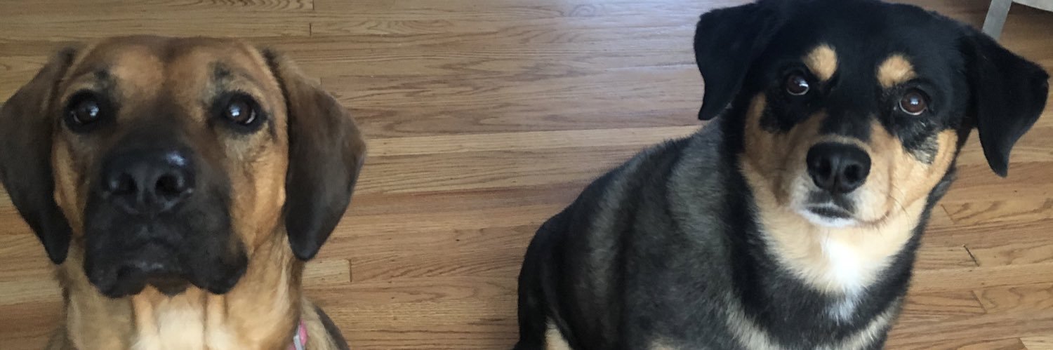 Rich_D19's profile banner image