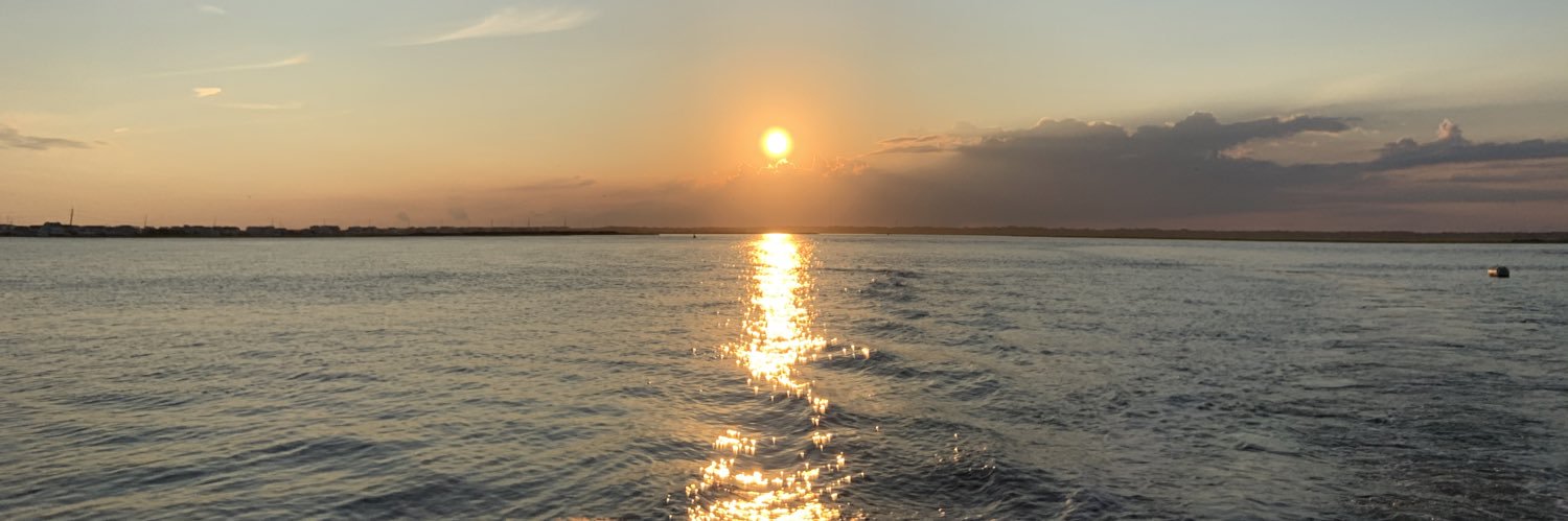 mrsnemes's profile banner image