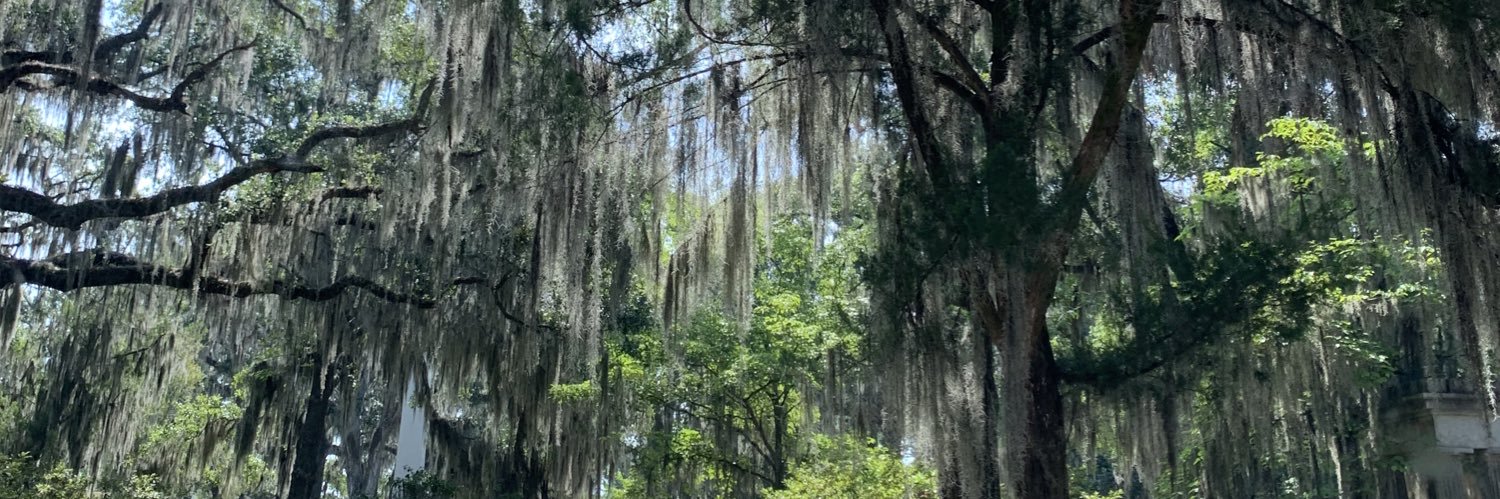 madisonmoses14's profile banner image