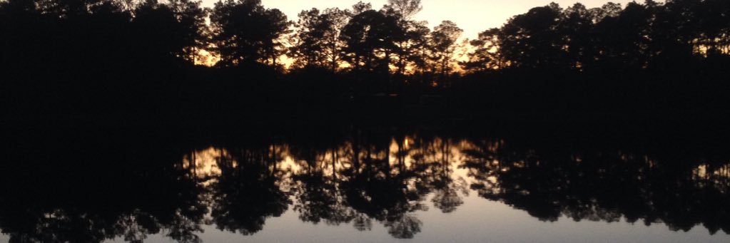 HeyItsGibbon48's profile banner image