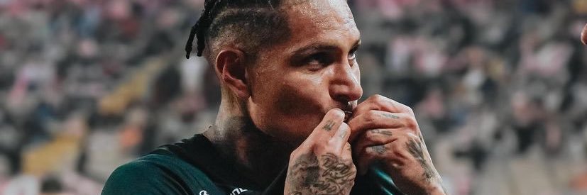 Daniela Romaní banner