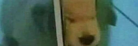 vvalentinadd's profile banner image
