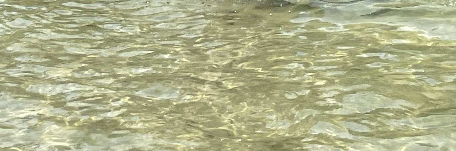 Orionism's profile banner image