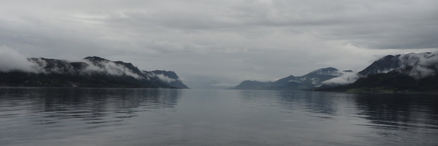 elisedaa's profile banner image