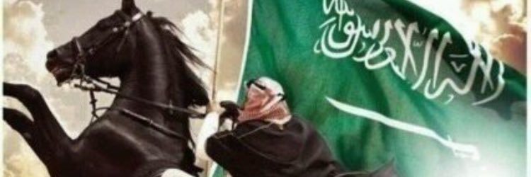 nowarhalzoubi's profile banner image