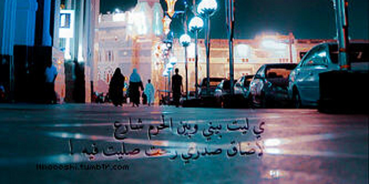 m_mshk's profile banner image