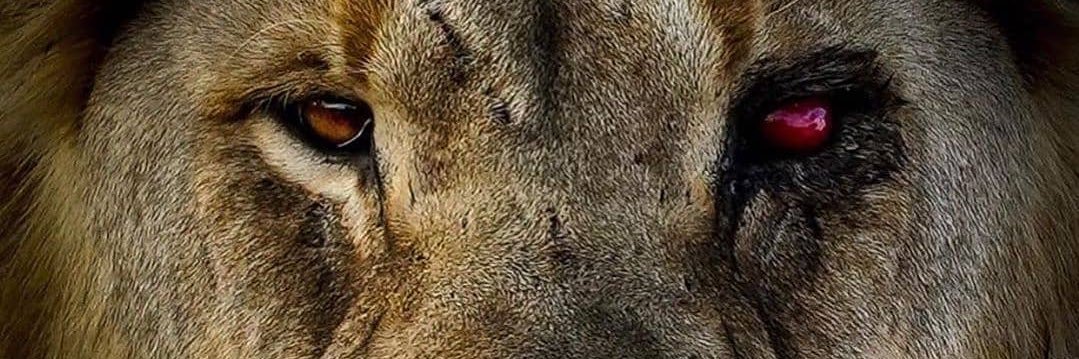 kevin40296's profile banner image