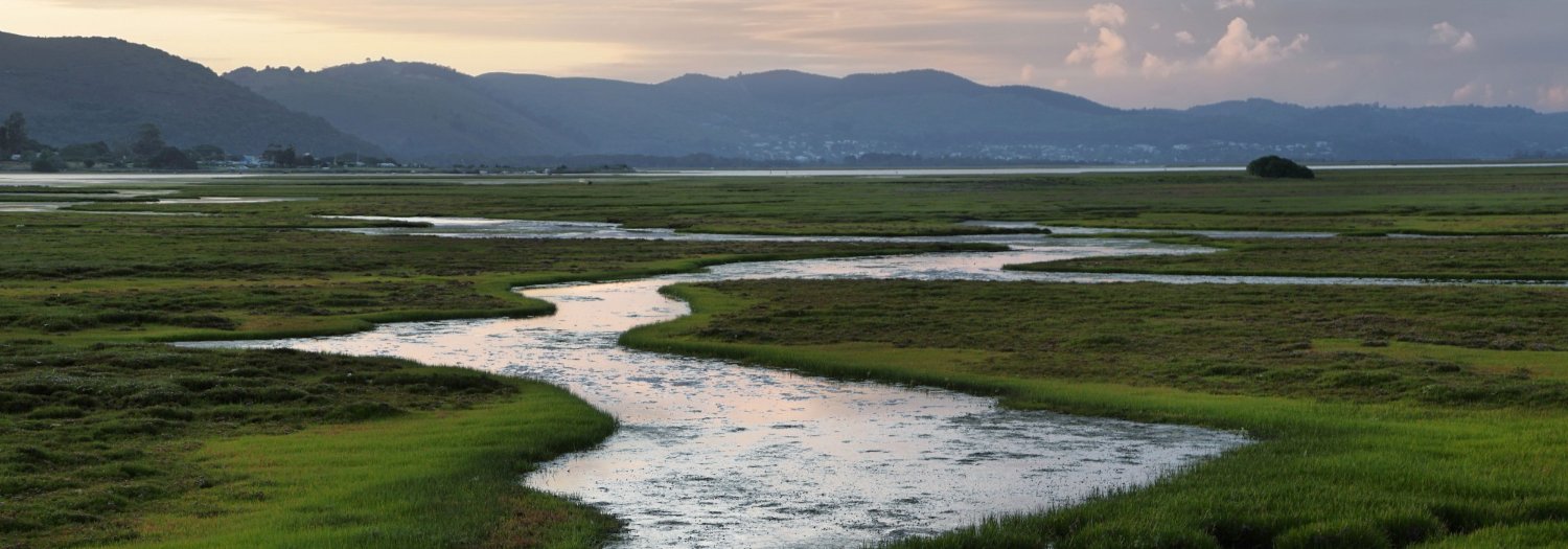 Yale Institute for Biospheric Studies banner