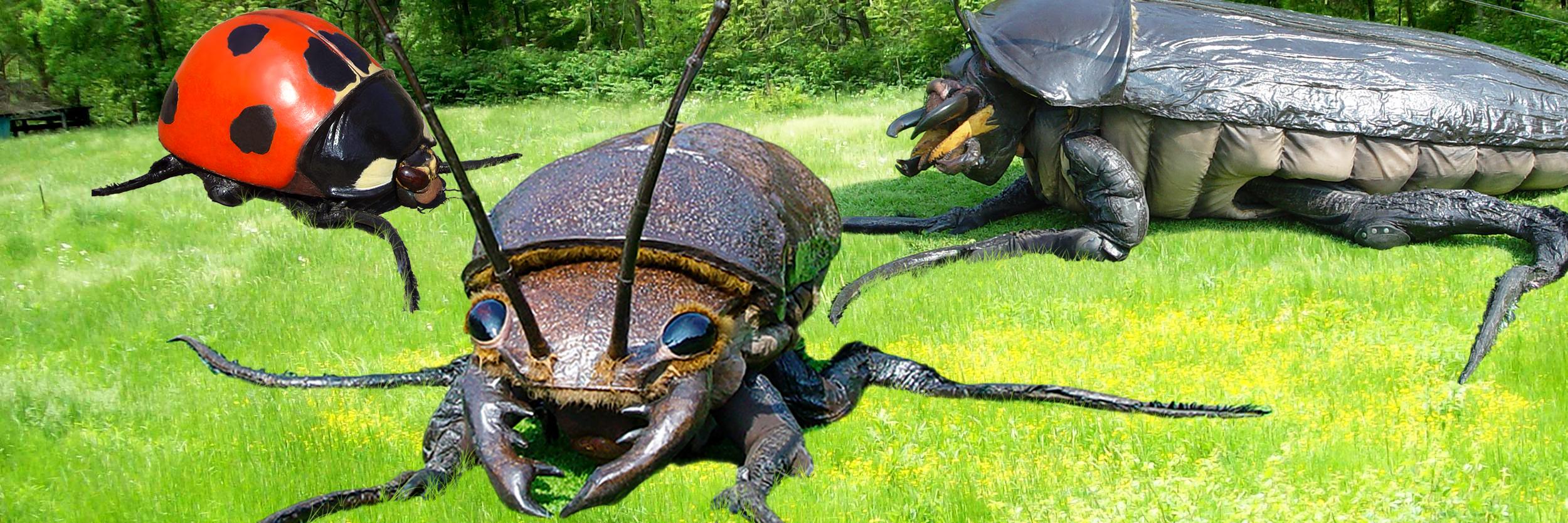 bigbugsact's profile banner image
