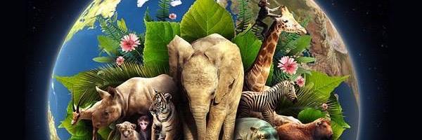 MrsHolcol's profile banner image