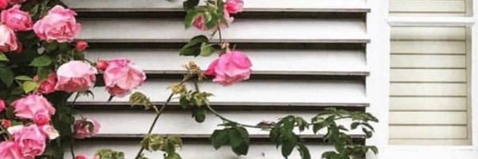 z ᴀ i ɴ ᴀ в 🍃💛' banner