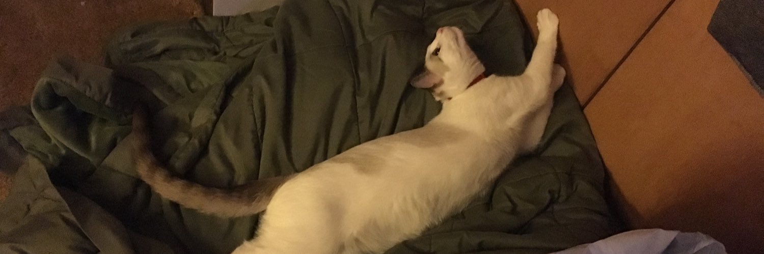 smokeyrobison banner