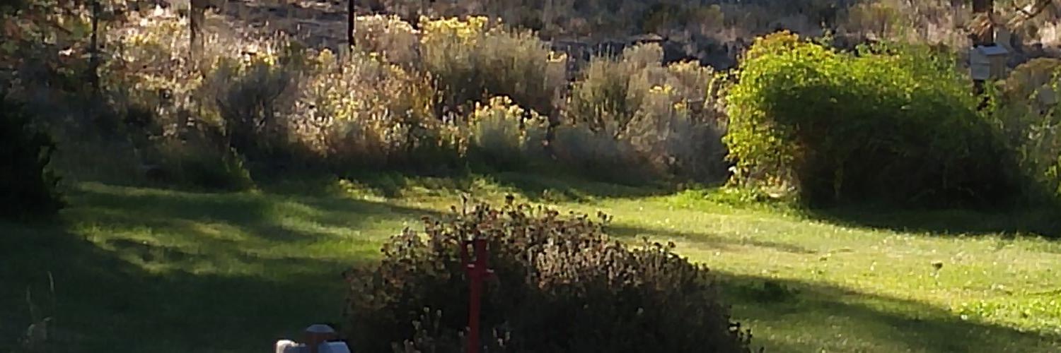 arbortender's profile banner image