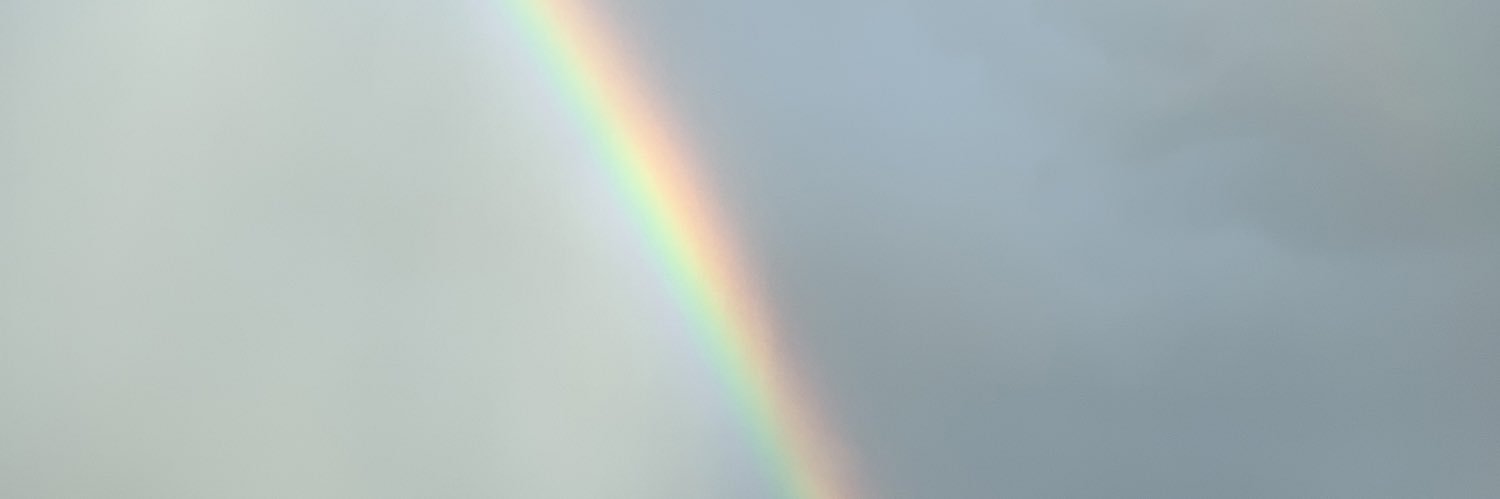 stefkip's profile banner image