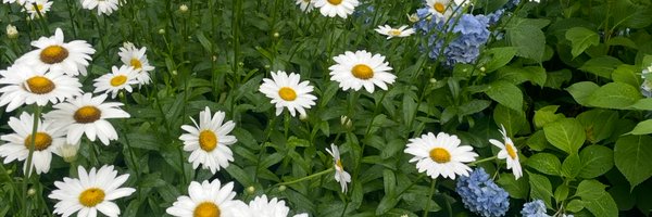 atheorist Profile Banner