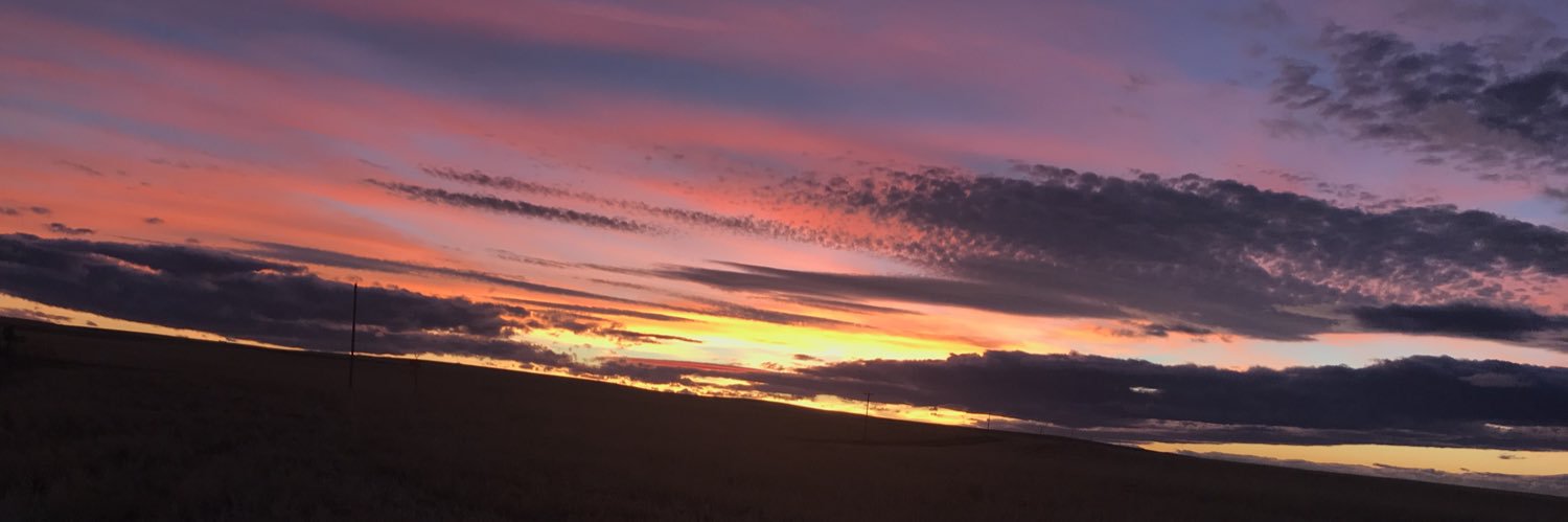allymb1's profile banner image