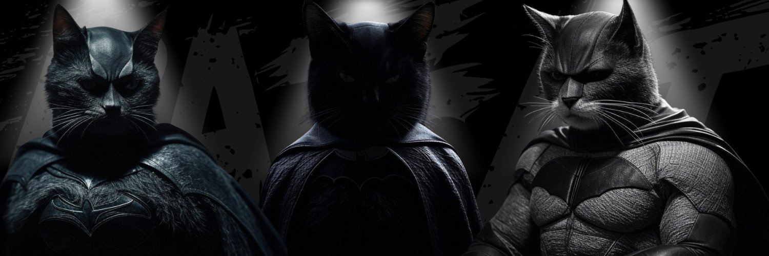 Validaitor's profile banner image