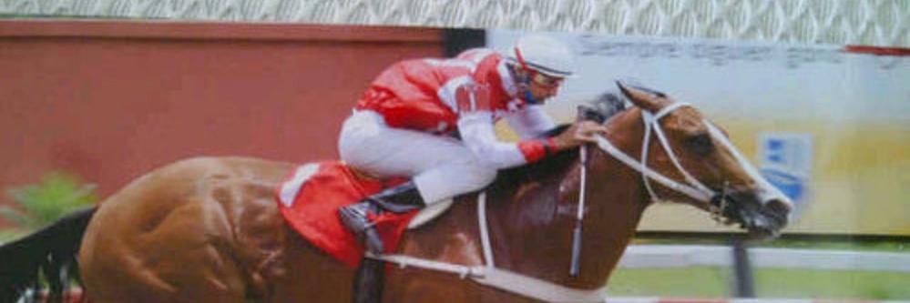 Stud Transformers banner