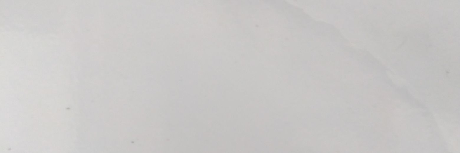 carcharias banner