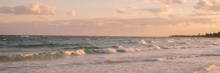 vanee_tdlt's profile banner image