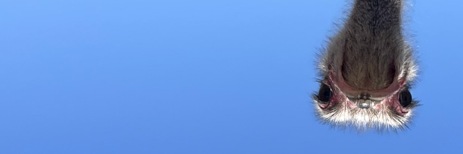 katy_fedurek's profile banner image