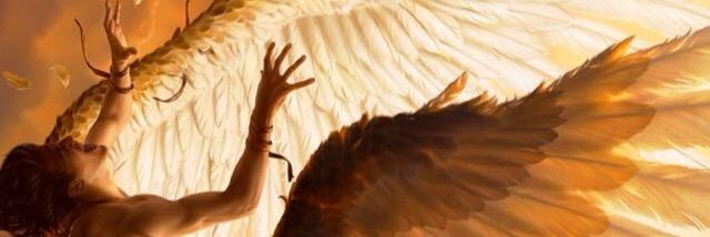 nicolas_acuna's profile banner image