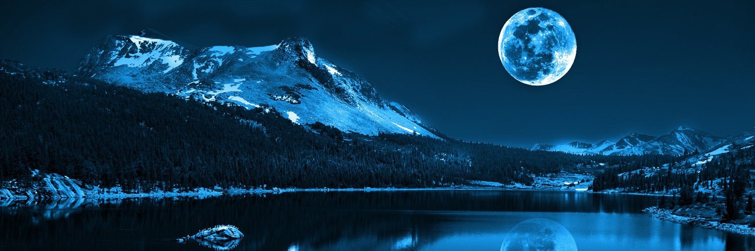 rachelle_lev's profile banner image