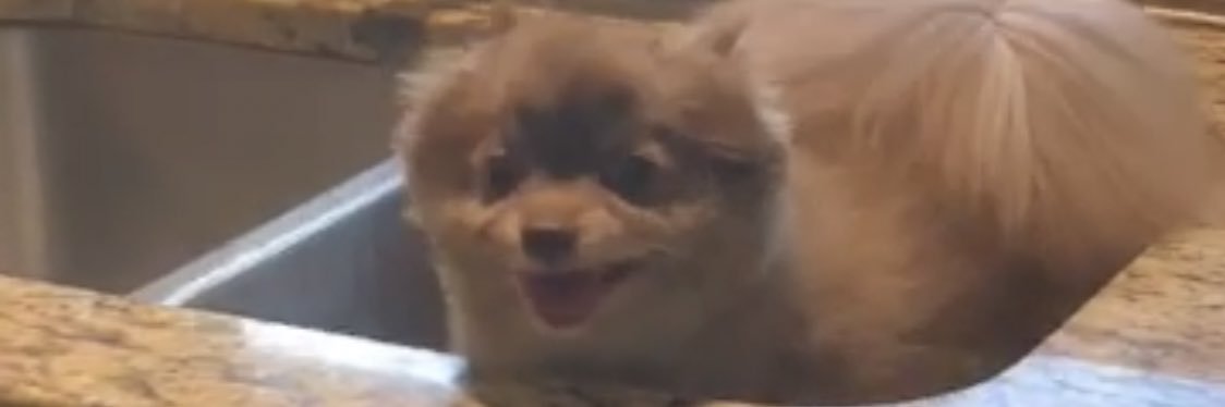 johnbahner's profile banner image