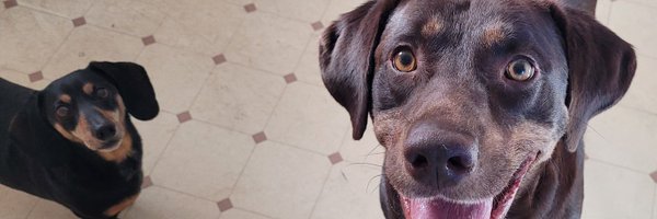 DebRuiz319 Profile Banner