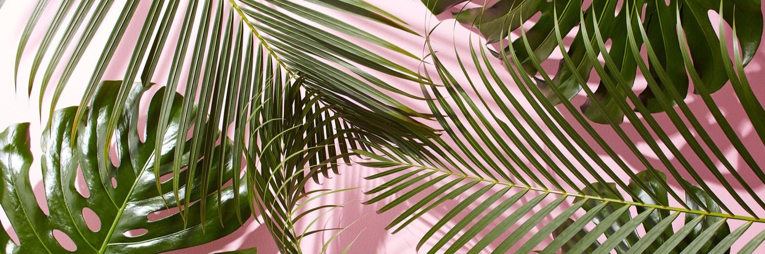 taliirwin's profile banner image