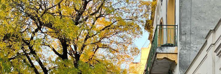 _mixsweet's profile banner image