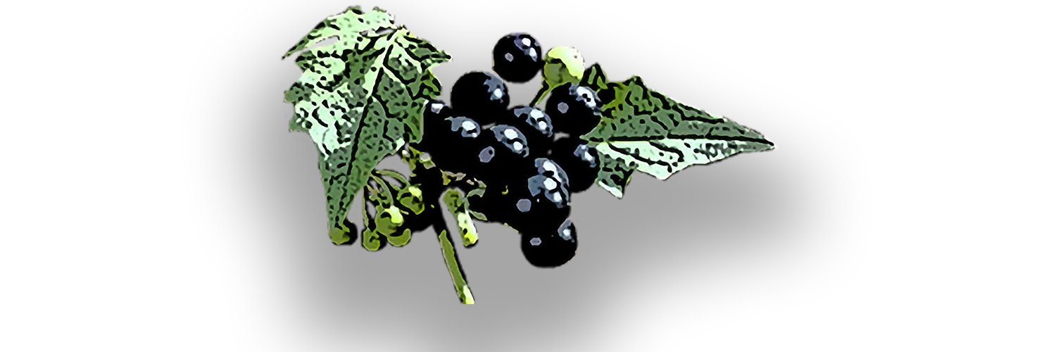 AquilaWrites's profile banner image