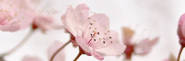 Abeybeb's profile banner image
