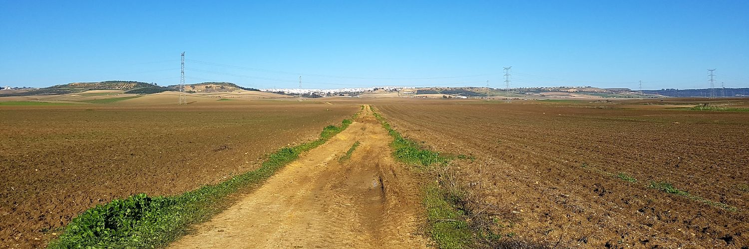 Nocturnal Pulse banner