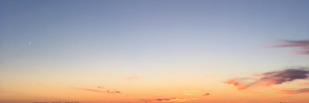 CassiusCarter1's profile banner image