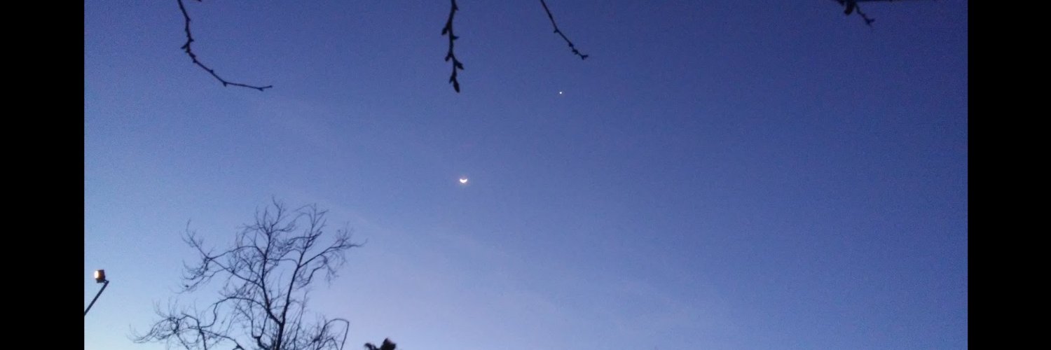 spacecowbos's profile banner image