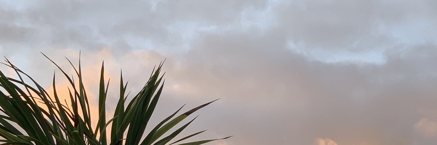 mefrontini's profile banner image